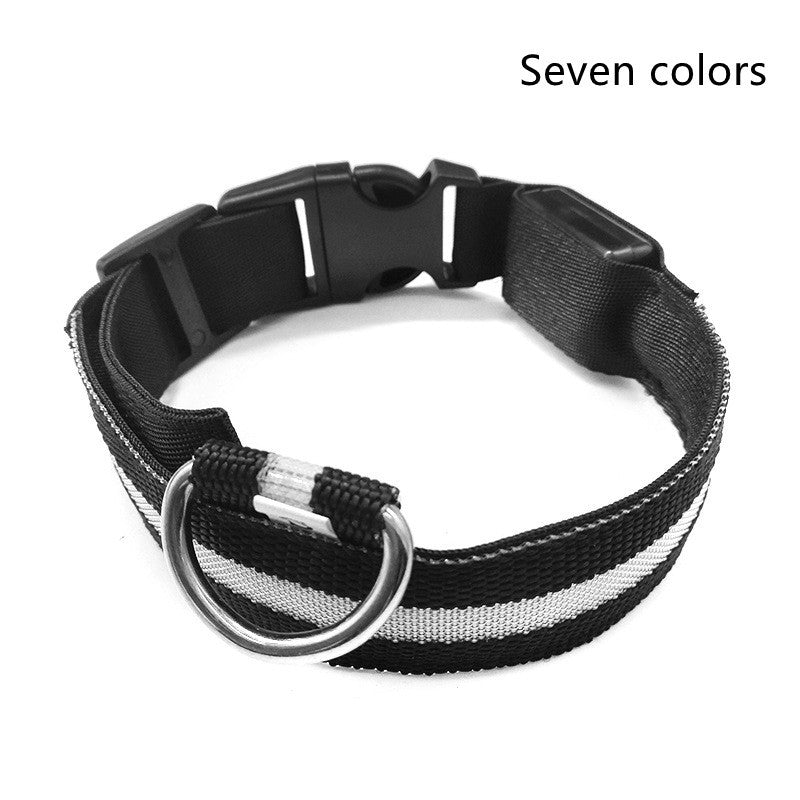 Nylon LED Pet Dog Luminous Collar - My Necessities Store