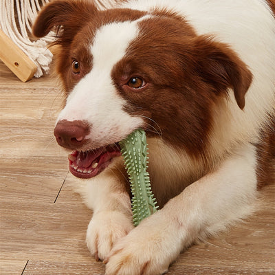 Toothbrush Teeth Cleaning Kong Dog To - My Necessities Store