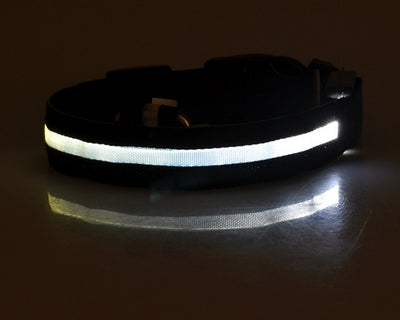 Nylon LED Pet Dog Luminous Collar - My Necessities Store