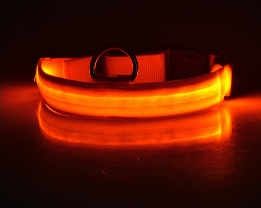 Nylon LED Pet Dog Luminous Collar - My Necessities Store