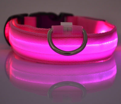 Nylon LED Pet Dog Luminous Collar - My Necessities Store