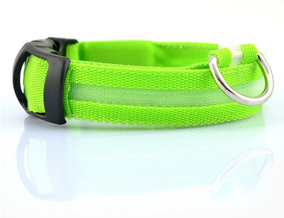 Nylon LED Pet Dog Luminous Collar - My Necessities Store