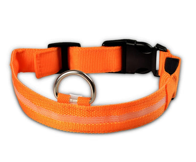 Nylon LED Pet Dog Luminous Collar - My Necessities Store