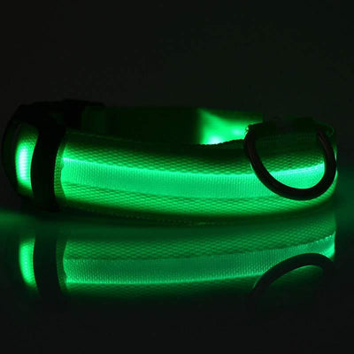 Nylon LED Pet Dog Luminous Collar - My Necessities Store