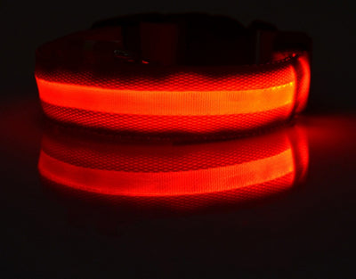 Nylon LED Pet Dog Luminous Collar - My Necessities Store