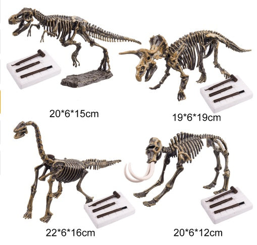 Dinosaur excavation DIY educational toys