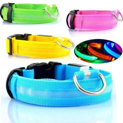 Nylon LED Pet Dog Luminous Collar - My Necessities Store