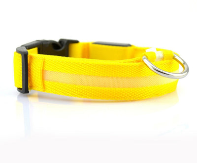 Nylon LED Pet Dog Luminous Collar - My Necessities Store