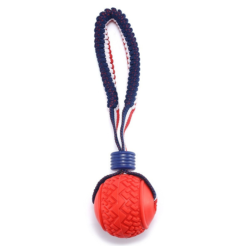 Chewing Ball Training Toy - My Necessities Store