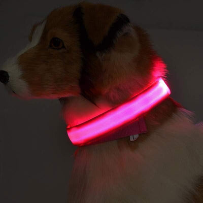 Nylon LED Pet Dog Luminous Collar - My Necessities Store