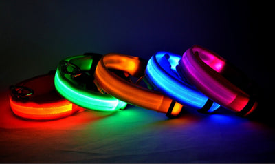 Nylon LED Pet Dog Luminous Collar - My Necessities Store