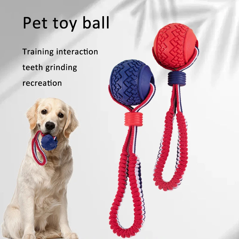 Chewing Ball Training Toy - My Necessities Store