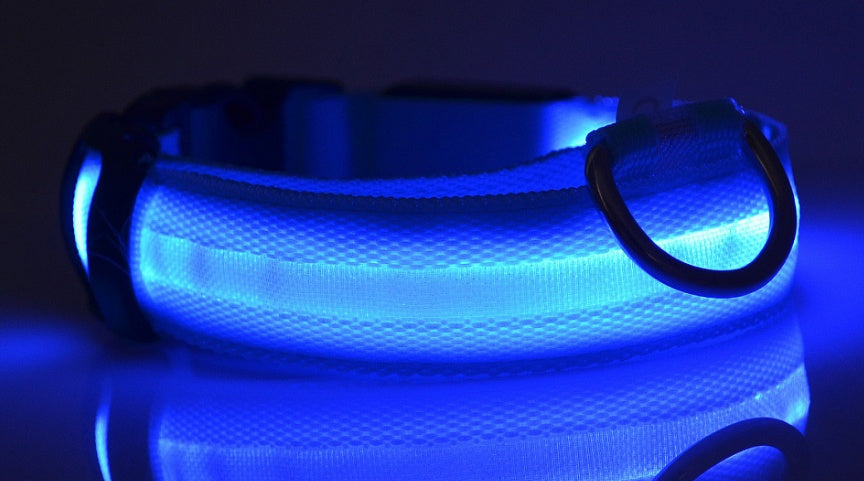 Nylon LED Pet Dog Luminous Collar - My Necessities Store