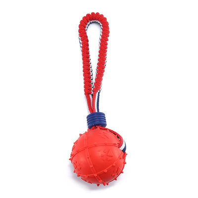 Chewing Ball Training Toy - My Necessities Store