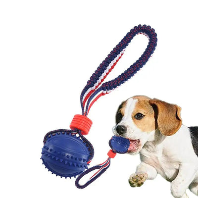 Chewing Ball Training Toy - My Necessities Store