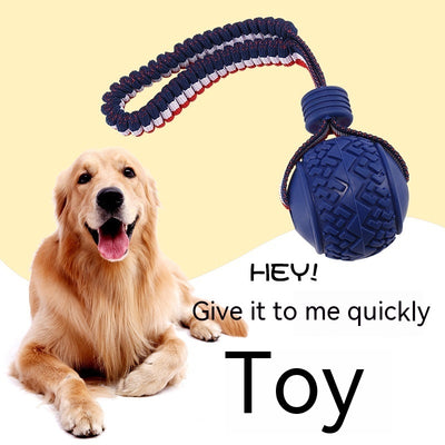 Chewing Ball Training Toy - My Necessities Store