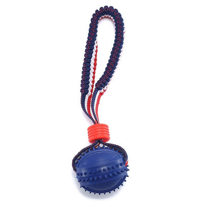 Chewing Ball Training Toy - My Necessities Store