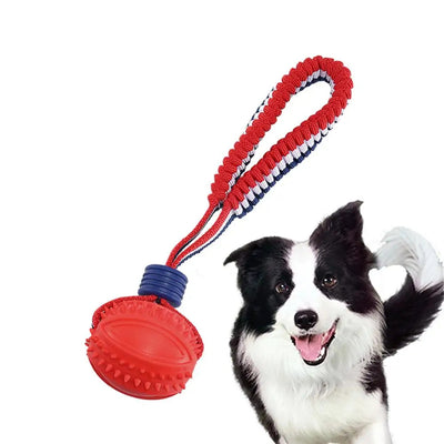 Chewing Ball Training Toy - My Necessities Store