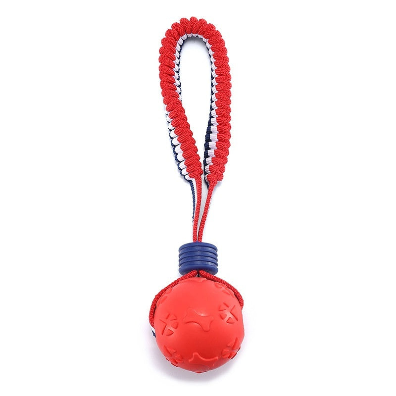 Chewing Ball Training Toy - My Necessities Store