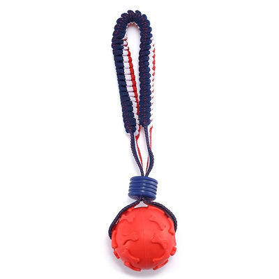 Chewing Ball Training Toy - My Necessities Store