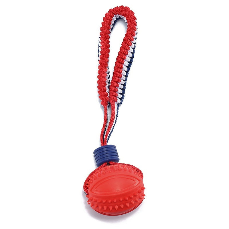 Chewing Ball Training Toy - My Necessities Store