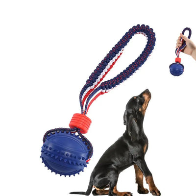 Chewing Ball Training Toy - My Necessities Store